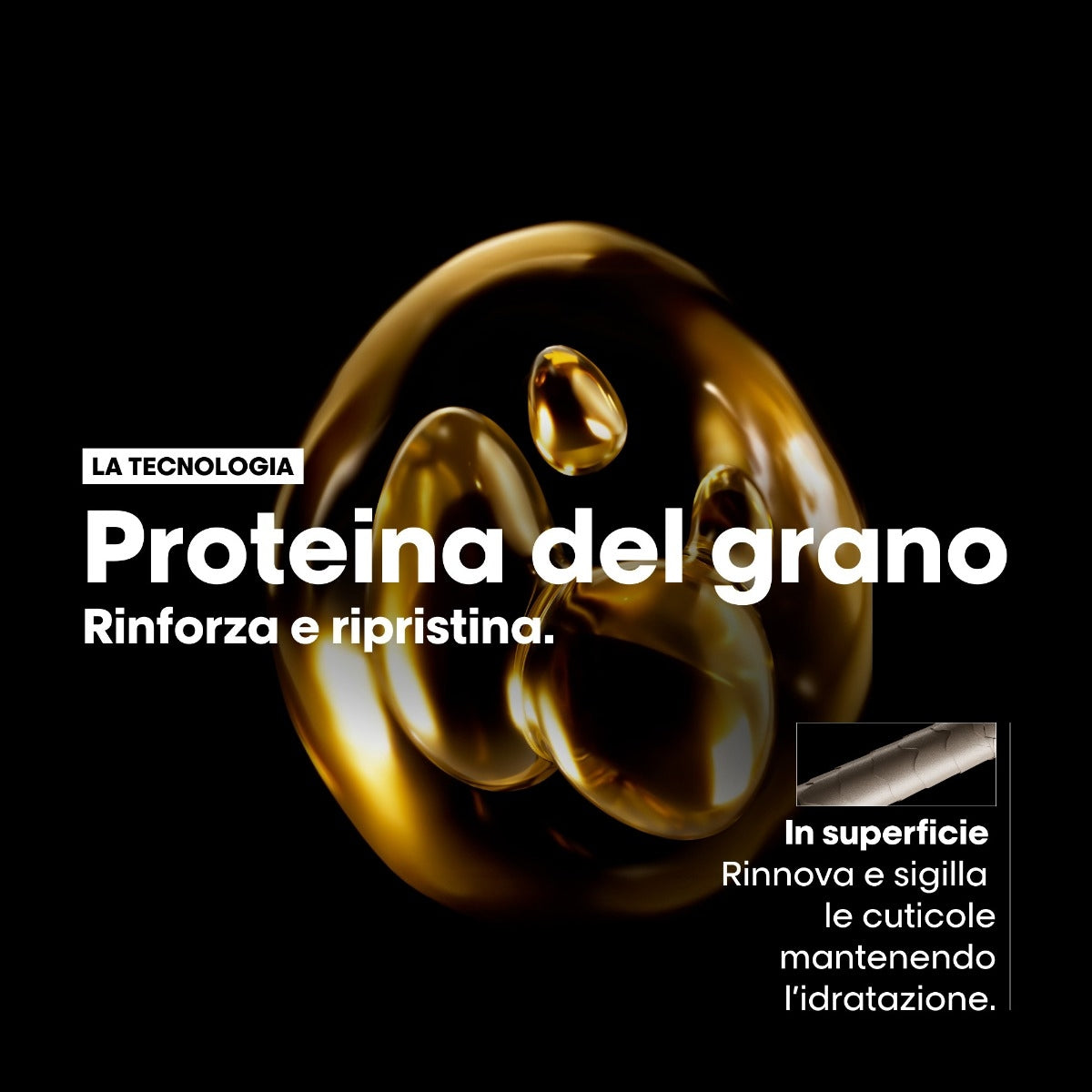 L'oreal Professionnel L'Oreal Professionel Glacial Utopia Limited Edition Absolu Repair Duo-6