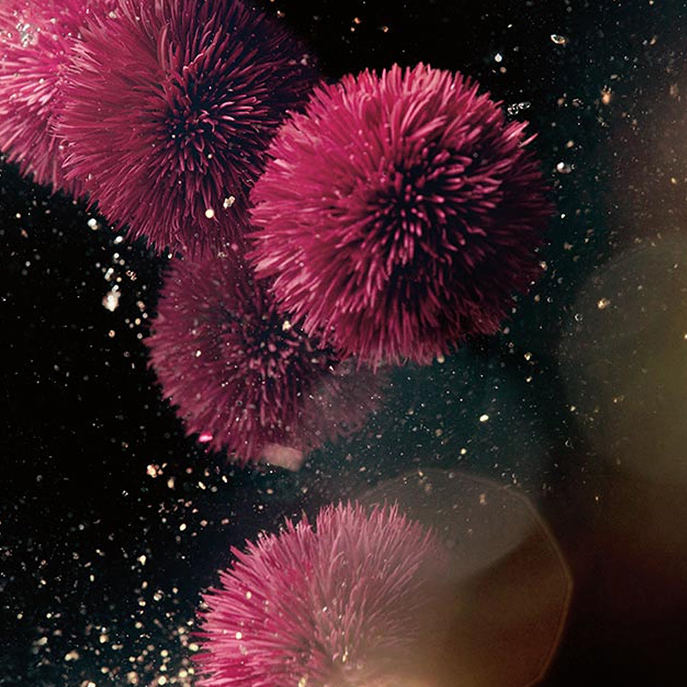 La Mer The Concentrated Night Balm Genaissance-5