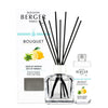 MAISON BERGER PARIS Bouquets  Zeste De Verveine   2 pz