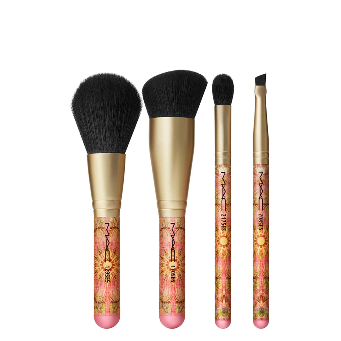 Mac Brush With Greatness Brush Kit