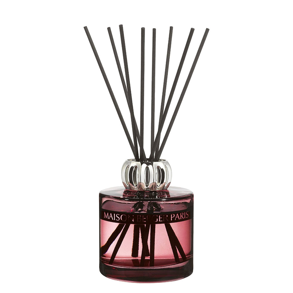 Maison Berger Paris Bouquet Duality