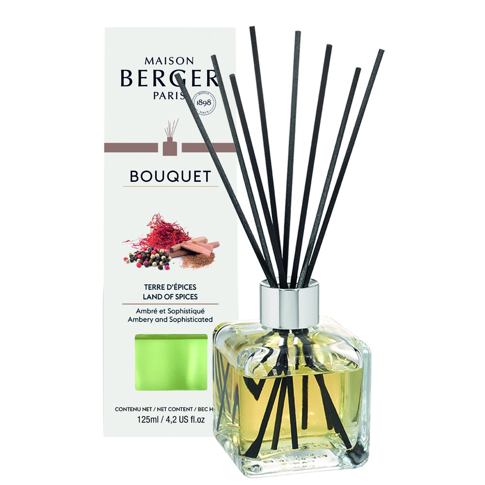 Maison Berger Paris Bouquet Terre d'Epices-2
