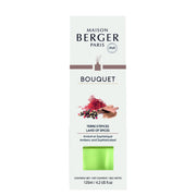 Maison Berger Paris Bouquet Terre d'Epices