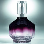 Maison Berger Paris Molecule Prugna+Ricarica Sous les Magnolias 250 ml-3