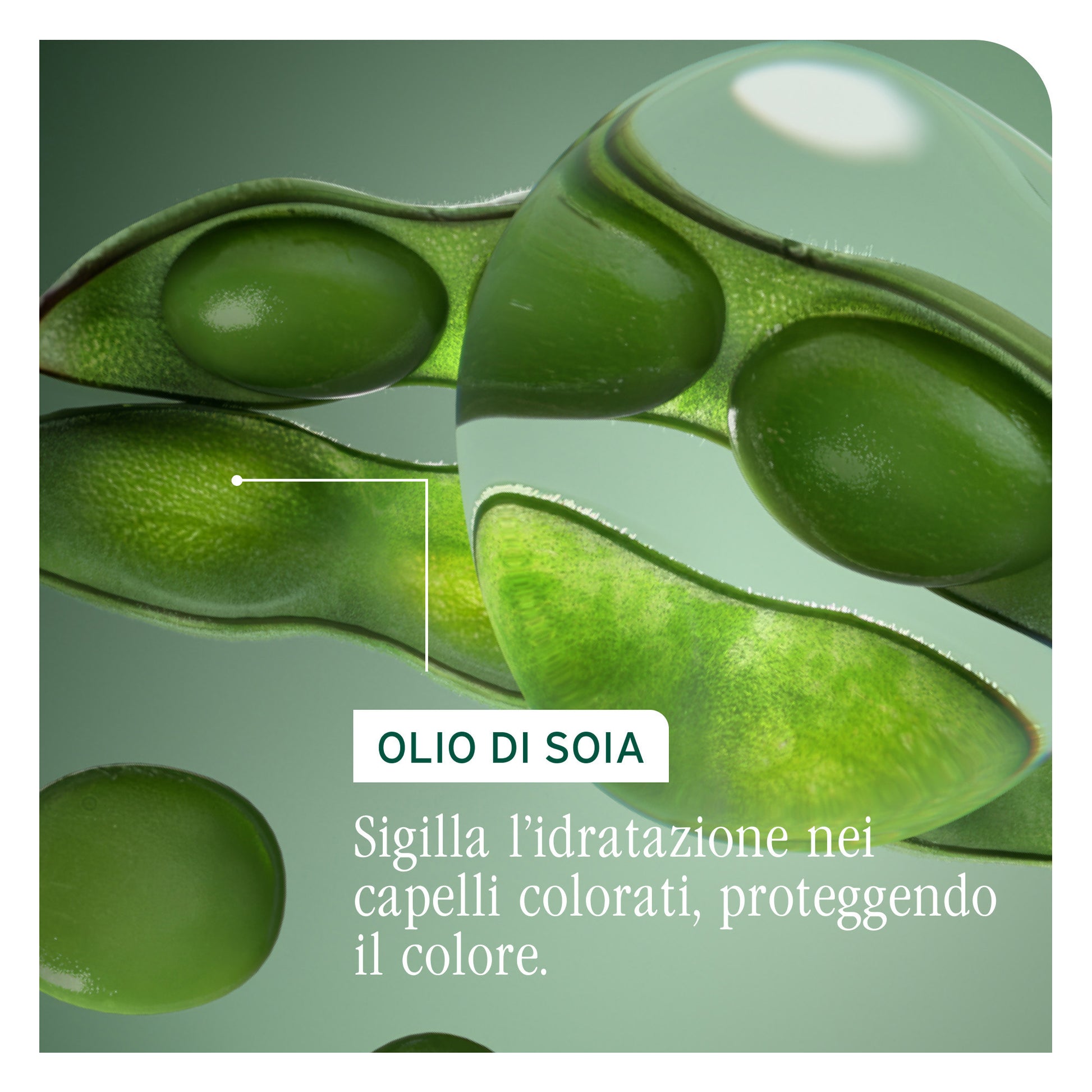 Matrix Biolage Color Last Conditioner-5