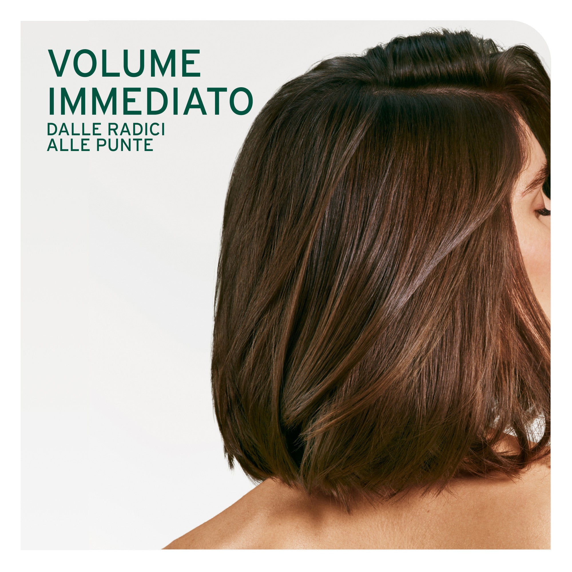 Matrix Biolage Volume Boost Shampoo-3