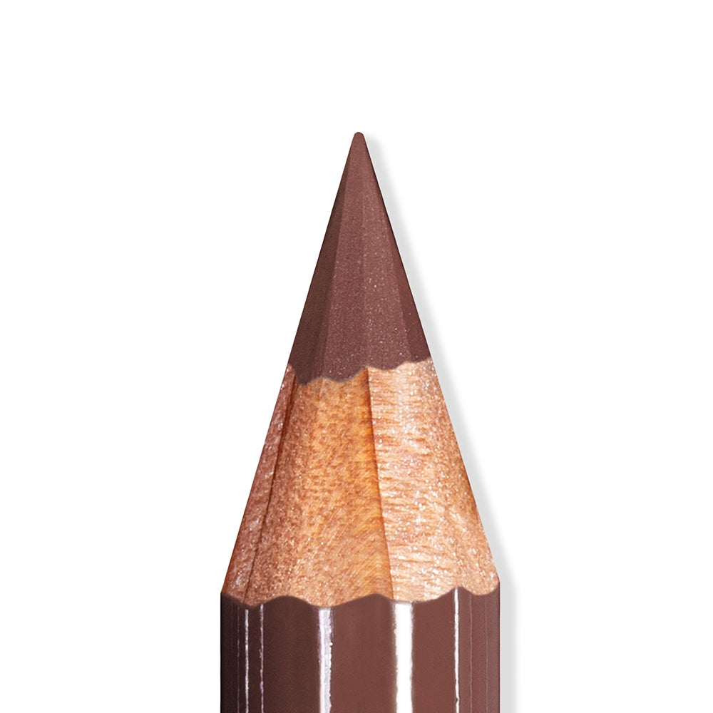 Mesauda Artist Lips 101 Fudge-4