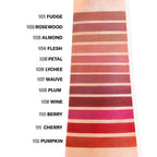 Mesauda Artist Lips 101 Fudge-5