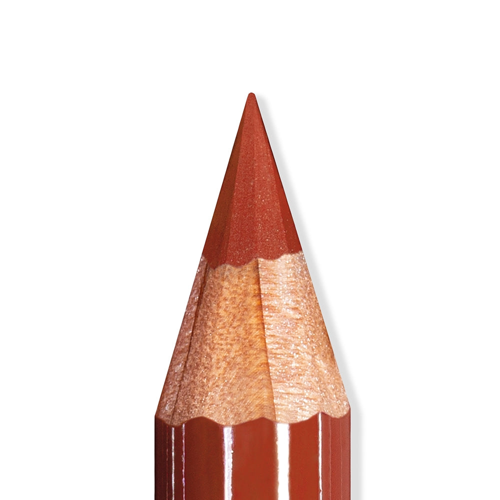 Mesauda Artist Lips 112 Pumpkin-4