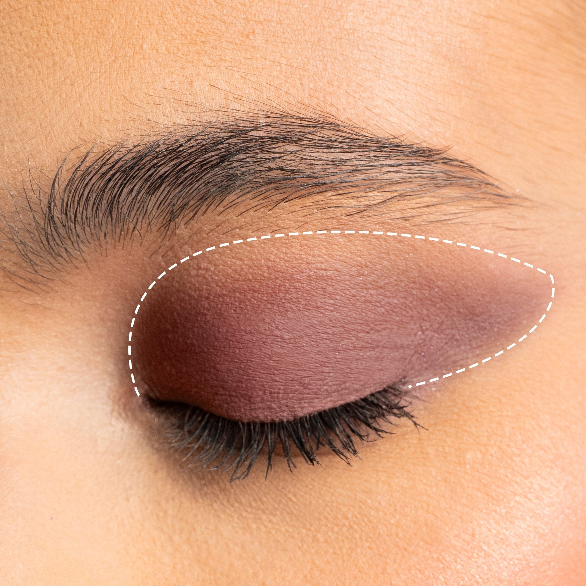 Mesauda Drawmatic Shadow 103 Cookie-4