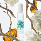 Moroccanoil Brumes du Maroc-2