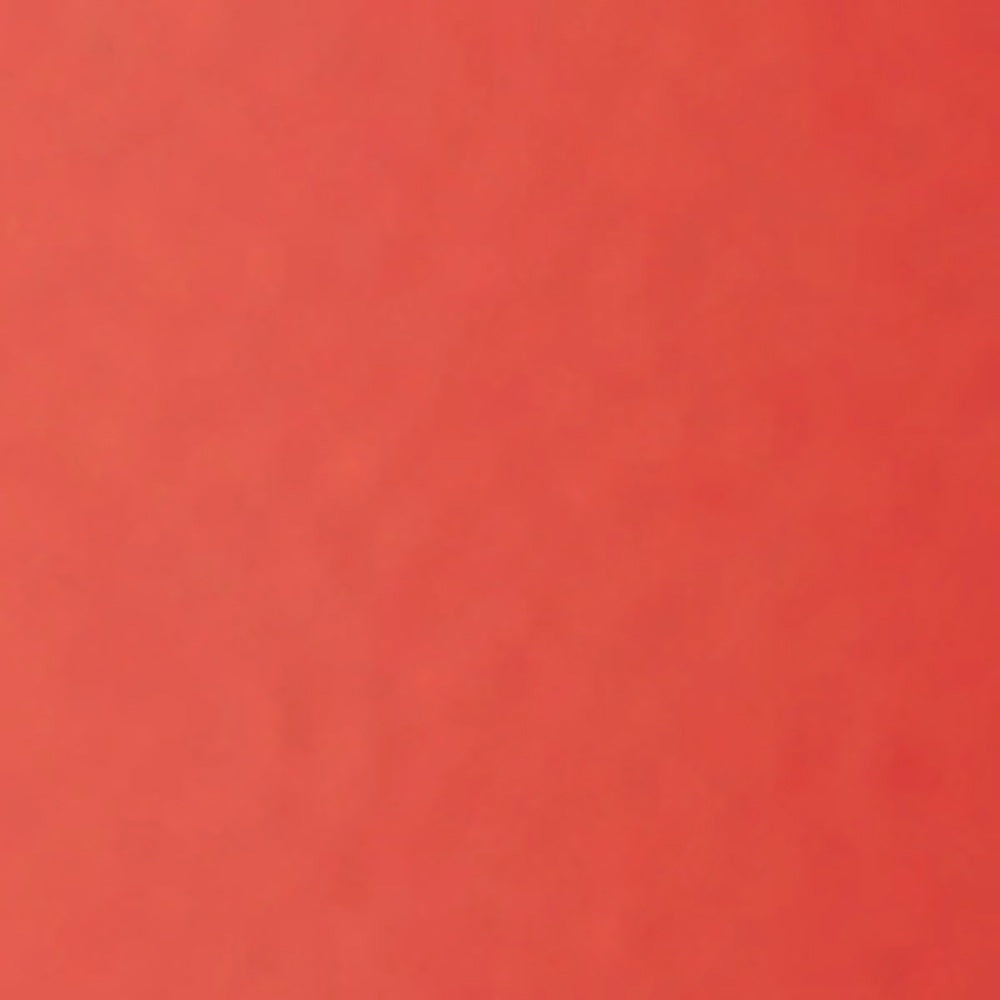 Mulac Rossetto Opaco 20 Punch-3