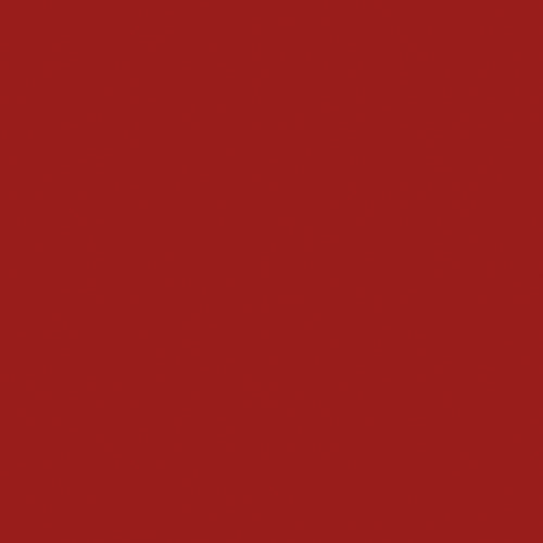 NAJ OLEARI Matt Forever Lipstick 05 Rosso Intenso-4