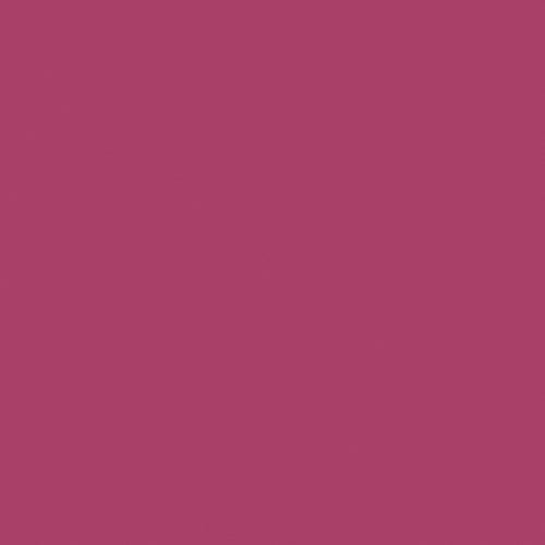 NAJ OLEARI Matt Forever Lipstick 06 Marsala-2