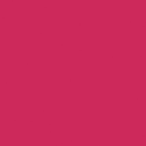 NAJ OLEARI Matt Forever Lipstick 12 Rosa Indiano-2