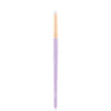 Nejha 10 Round Eye Brush