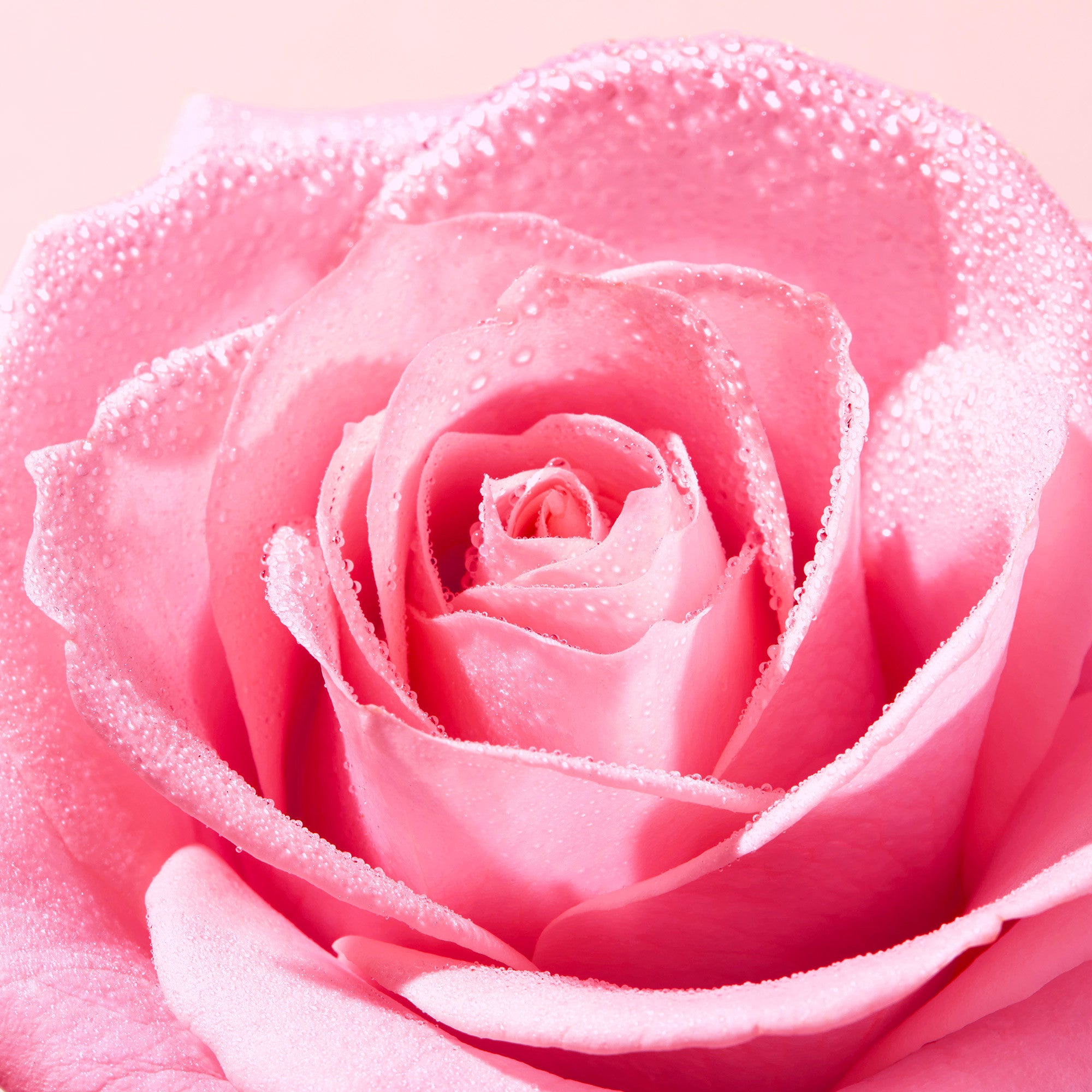 Nuxe Very Rose Eau Micellaire Démaquillante Apaisante-2