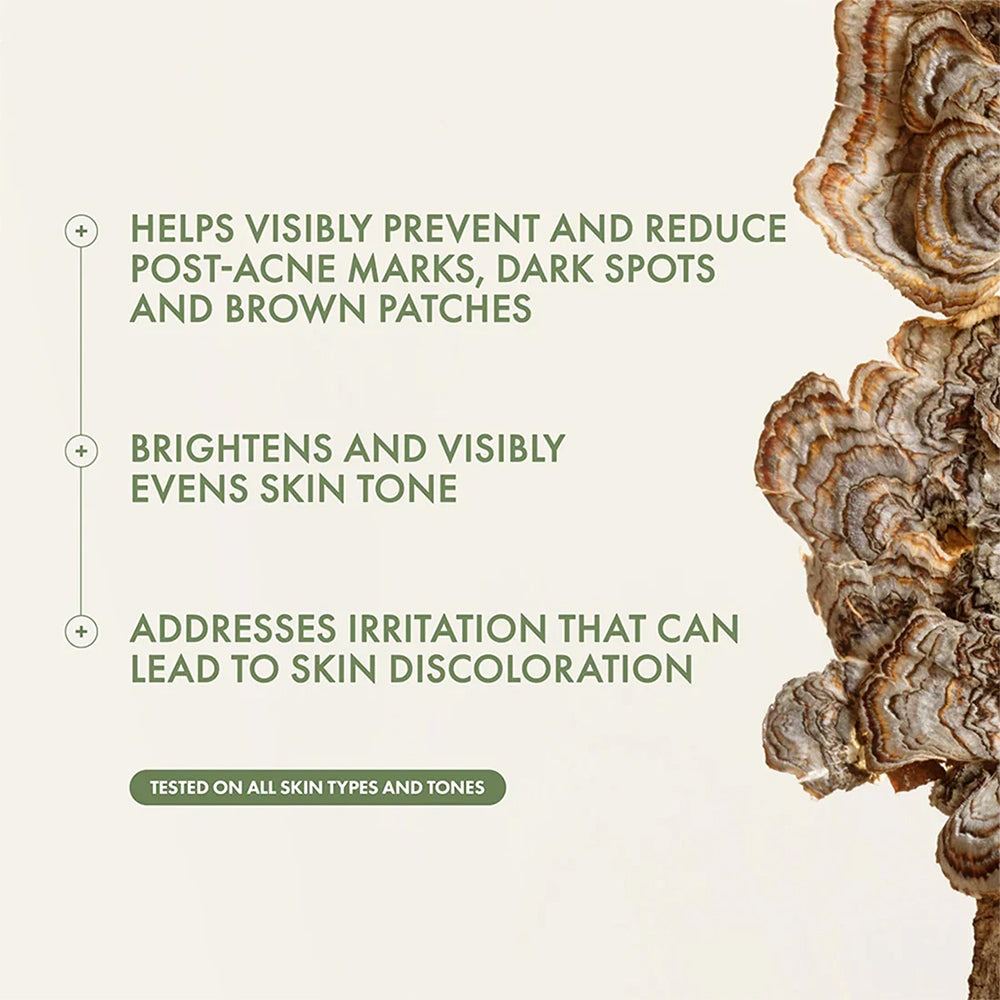 Origins Dr. Andrew Weil For Origins Mega-Mushroom Dark Spot Corrector Serum-3