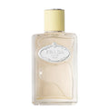 PRADA Infusion De Gingembre 