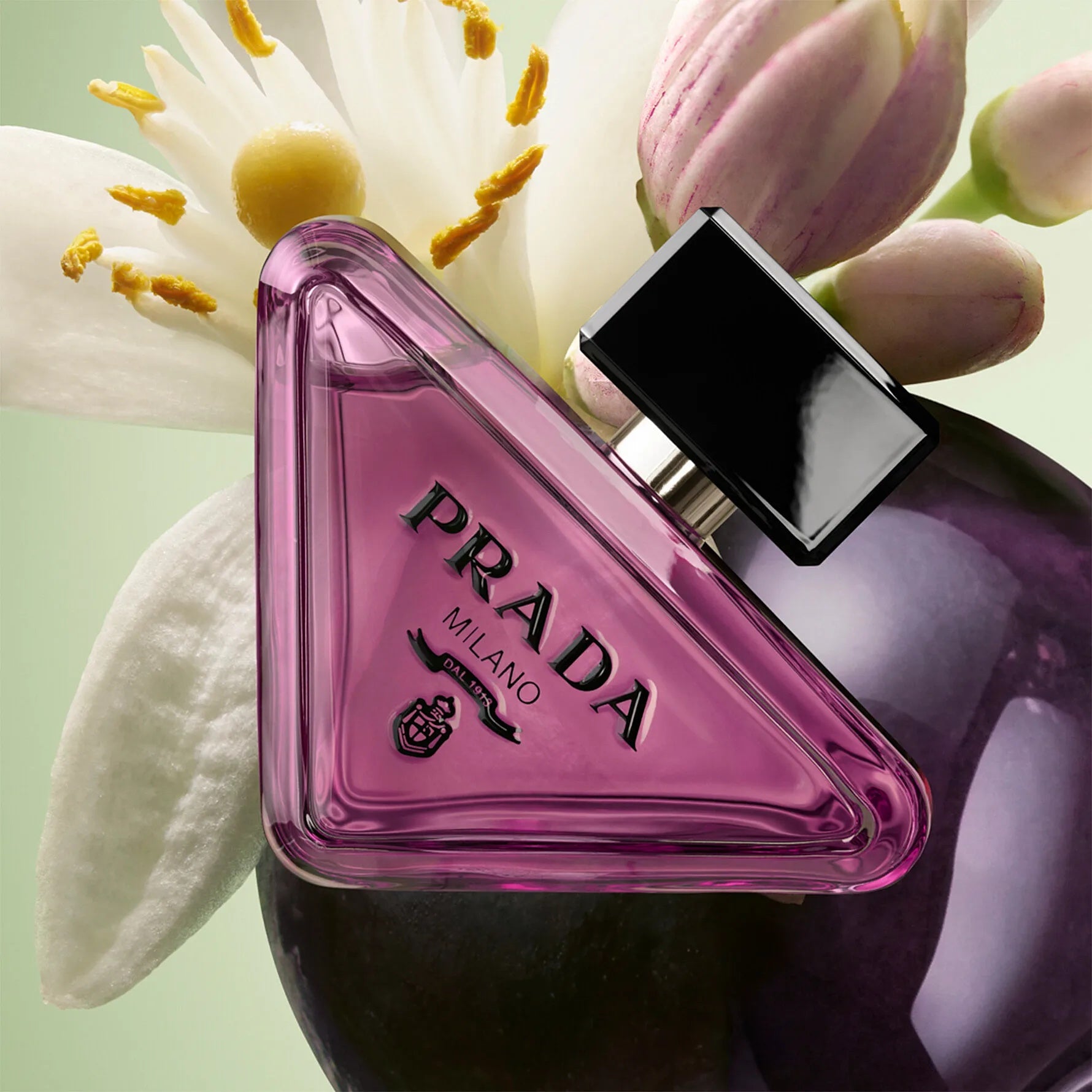 PRADA Paradoxe Sweet Chemistry -3