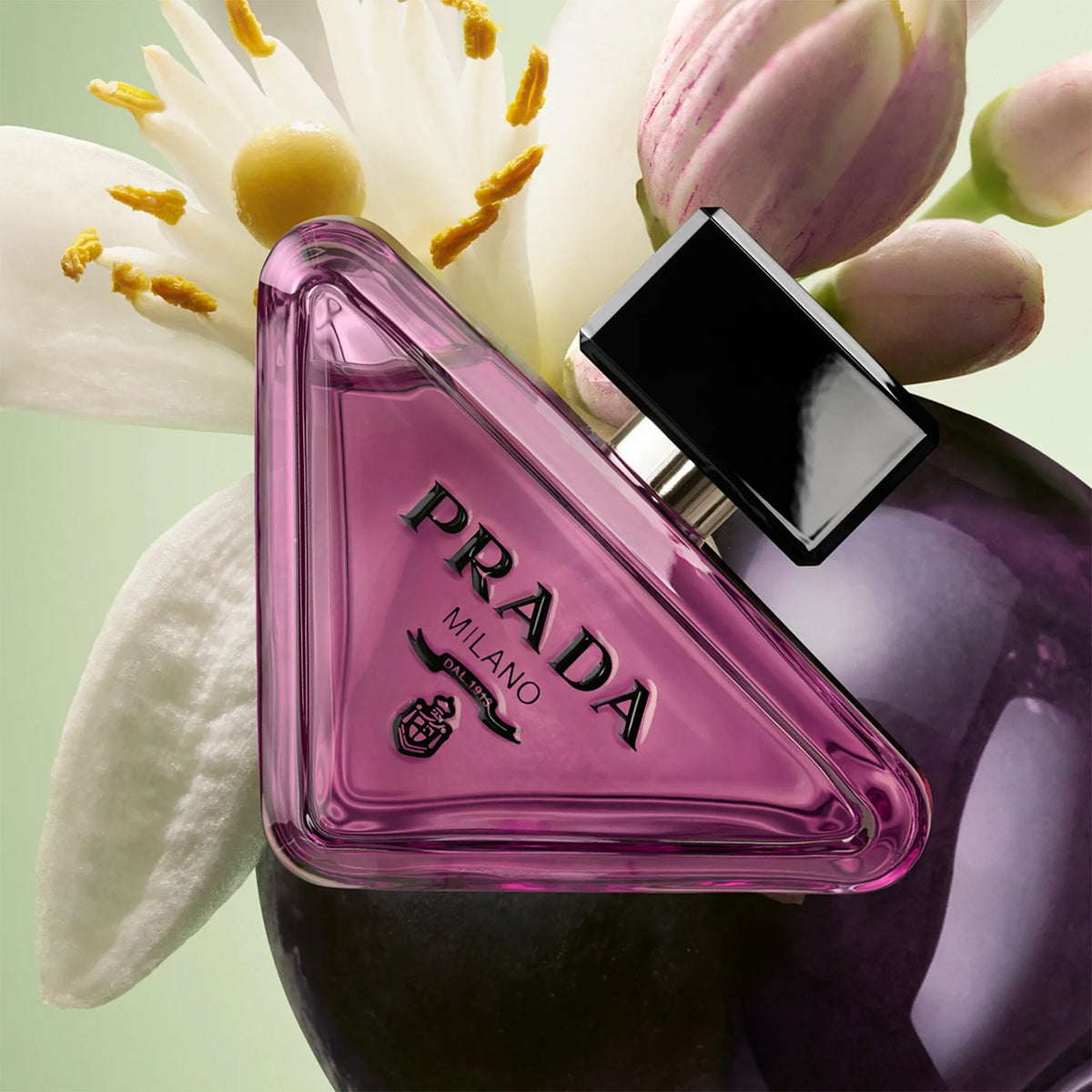PRADA Paradoxe Sweet Chemistry -3