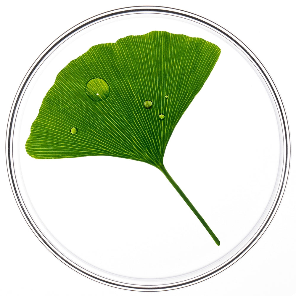 Phyto Phytocyane Trattamento Anti Caduta Donna Caduta Temporanea-2