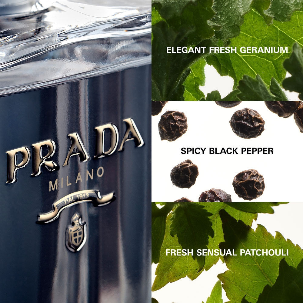 Prada L'Homme-3