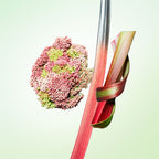 Prada Les Infusions Rhubarbe-2