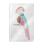 Pupa Parrot 002 Bahia