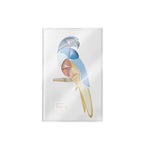 Pupa Parrot 003 Rio-2