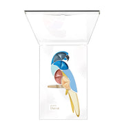 Pupa Parrot 003 Rio