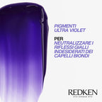 Redken Color Extend Blondage Express Anti-Brass-3