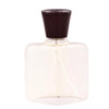 Roberto Capucci Capucci Pour Homme 100 ml