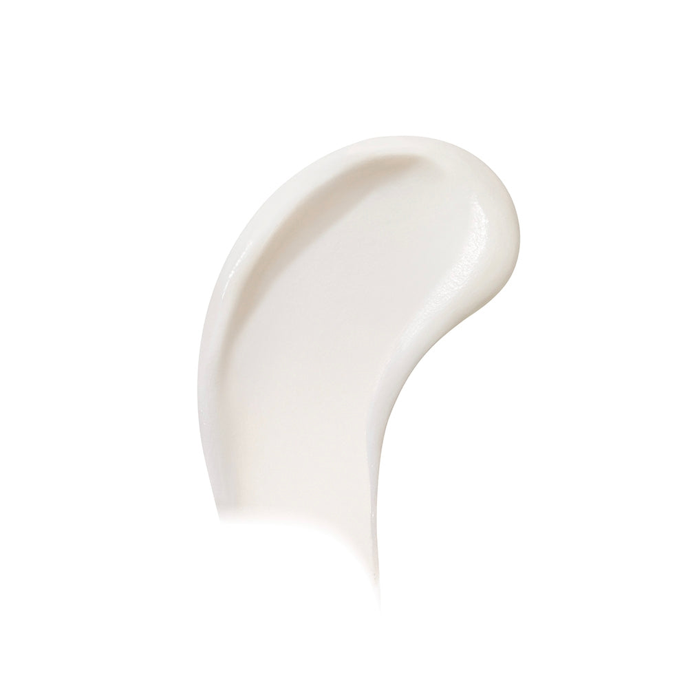 Shiseido FACE CLEANSER-2
