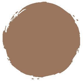 Shiseido FUTURE SOLUTION LX Total Radiance Foundation Neutral 3-2