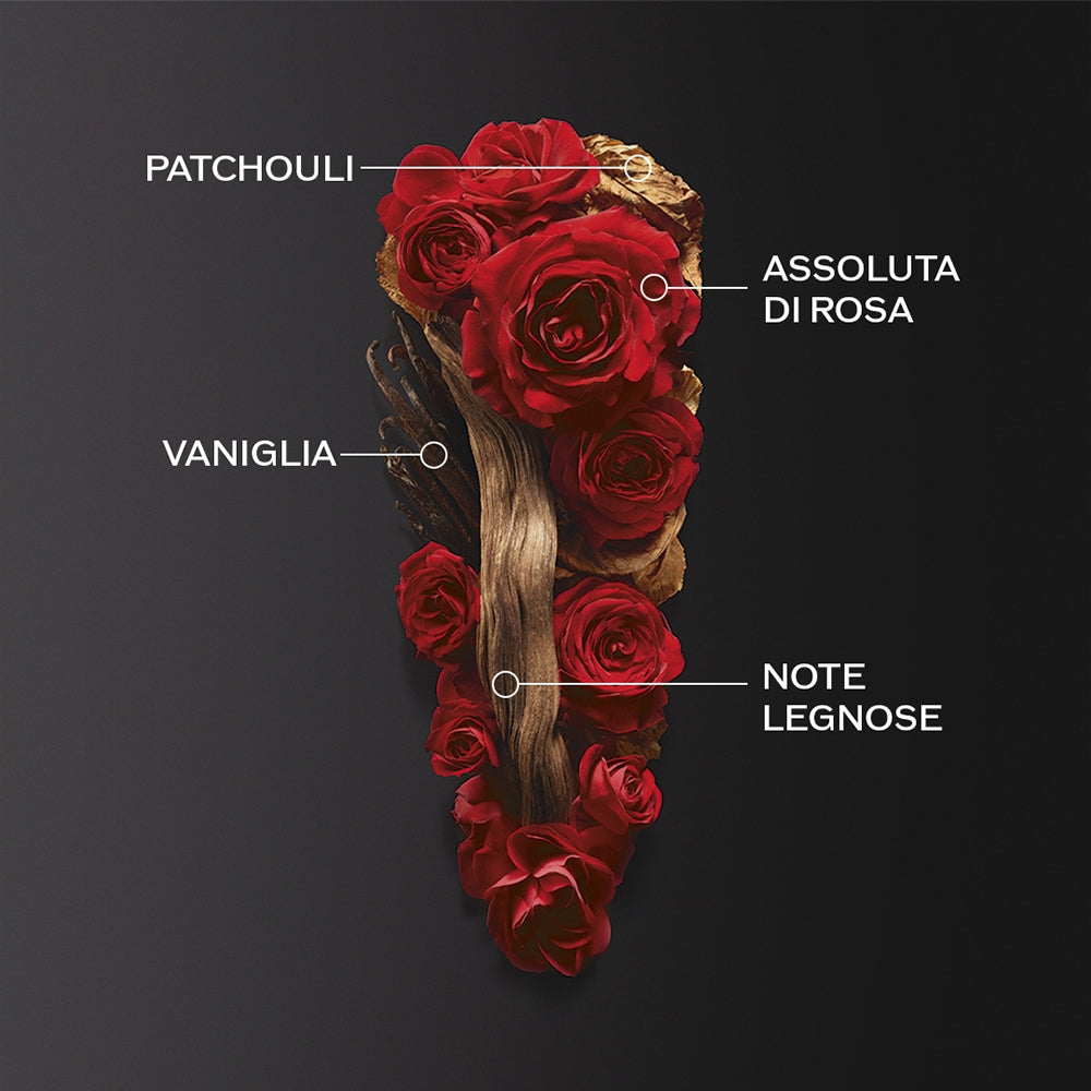 Shiseido Ginza Intense-4