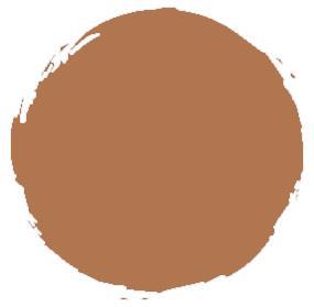 Shiseido Perfecting Stick Concealer 66 Deep-2