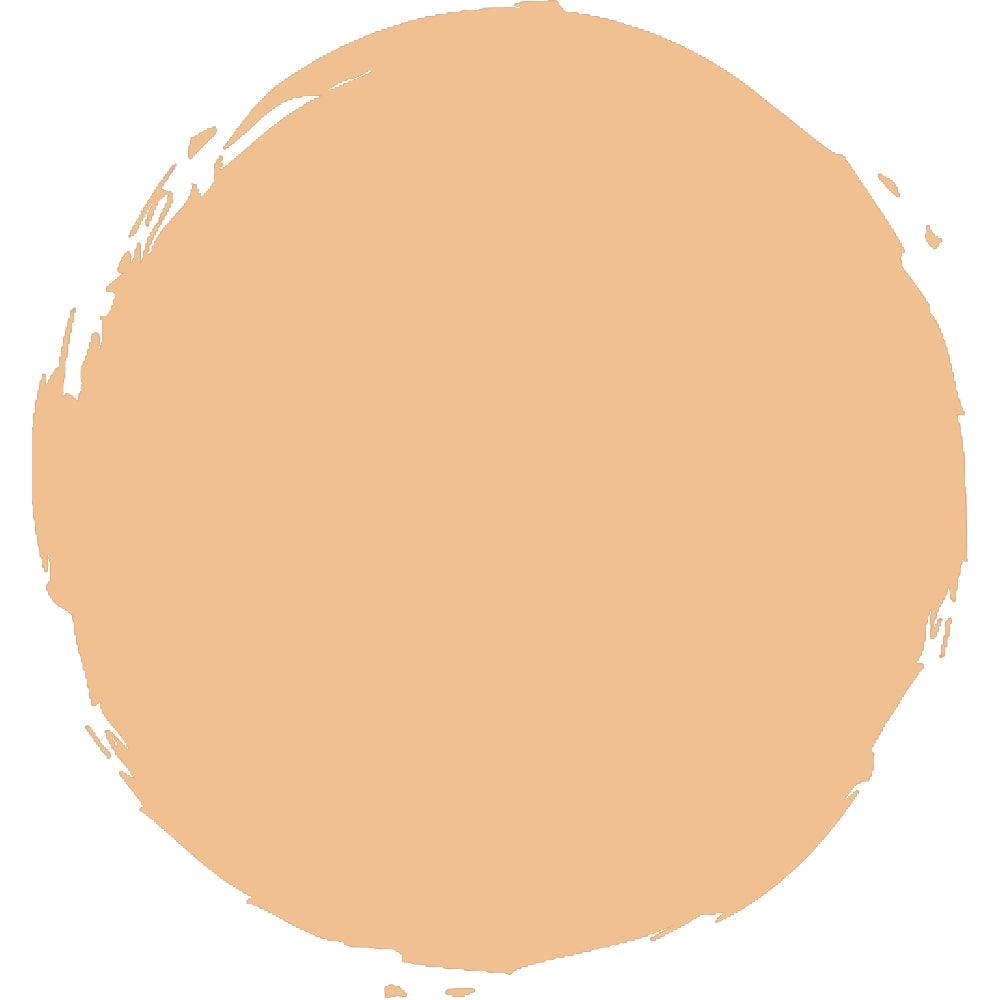 Shiseido SYNCHRO SKIN Correcting GelStick Concealer 102 Fair-2