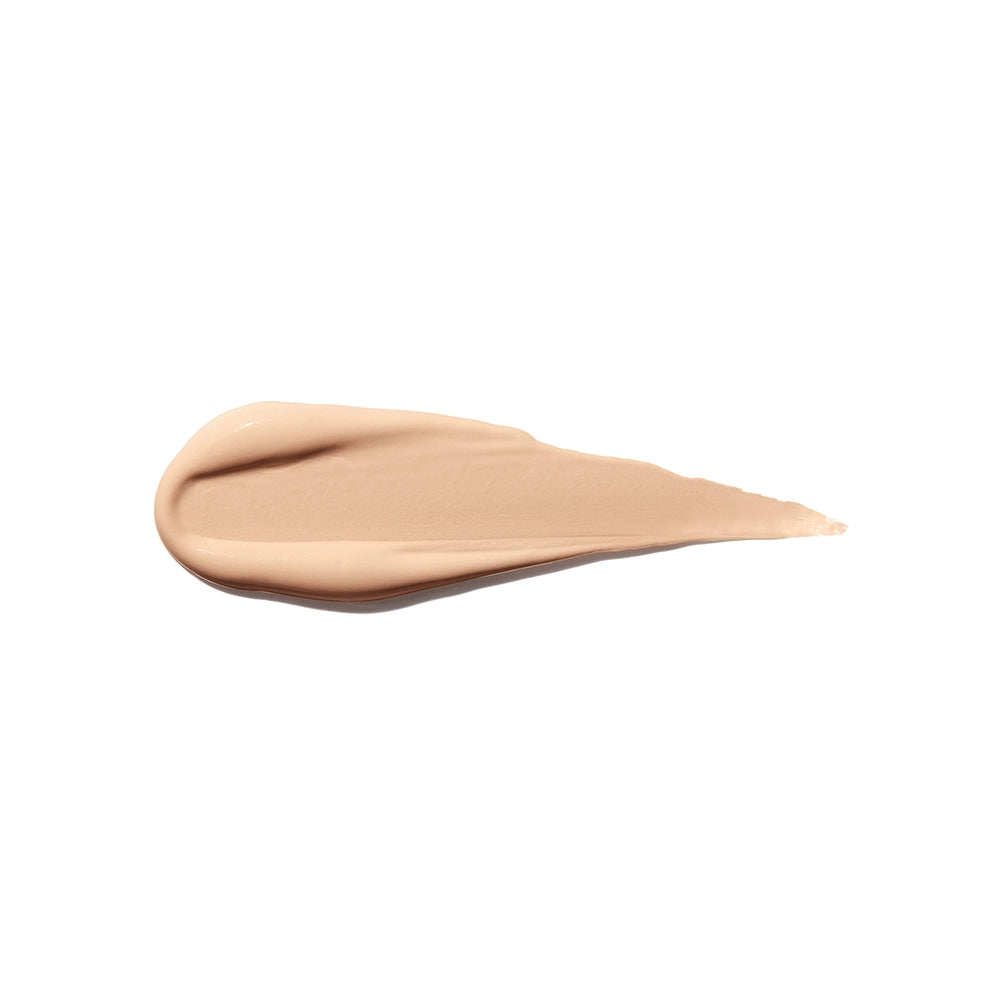 Shiseido Synchro Skin Self Refreshing Concealer 202-2