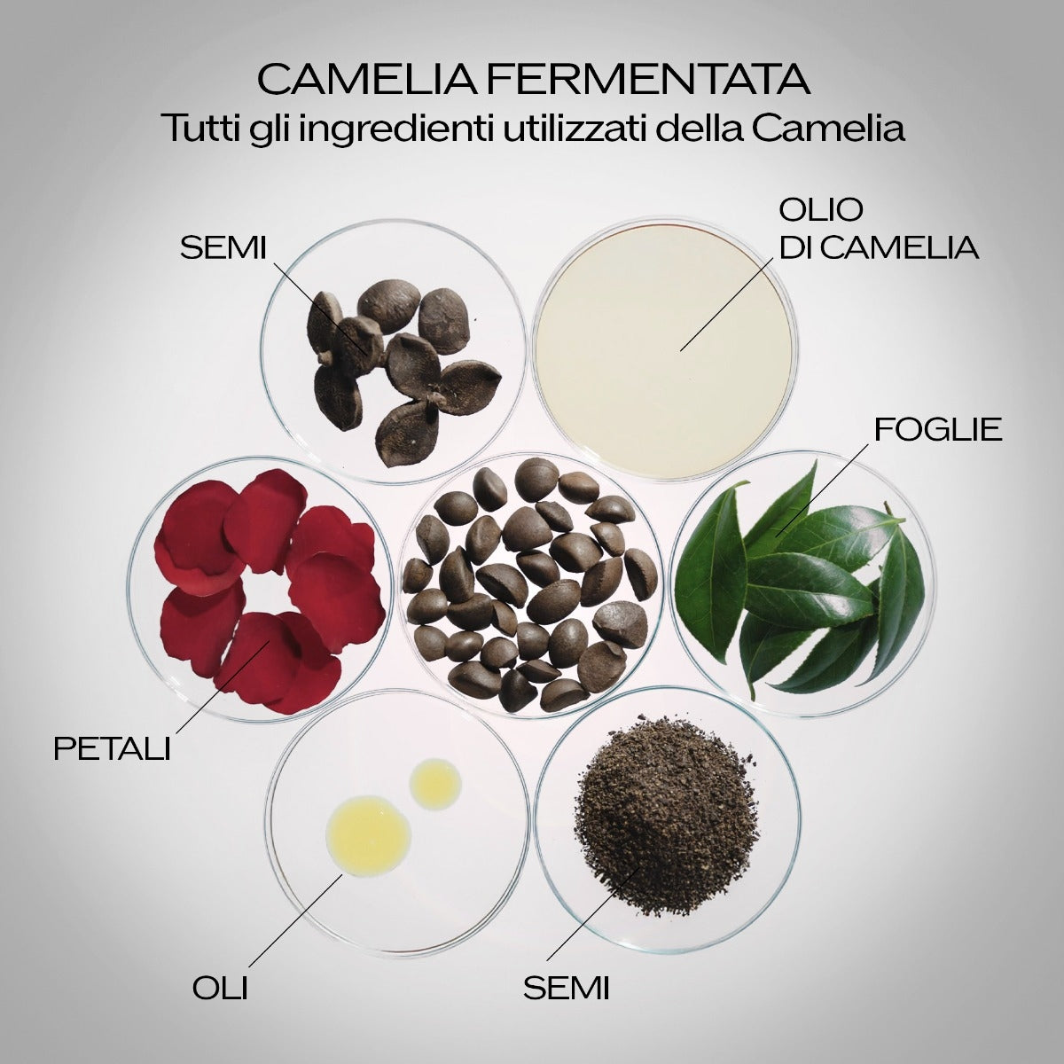 Shiseido Ultimune Power Infusing Serum Ricarica-4