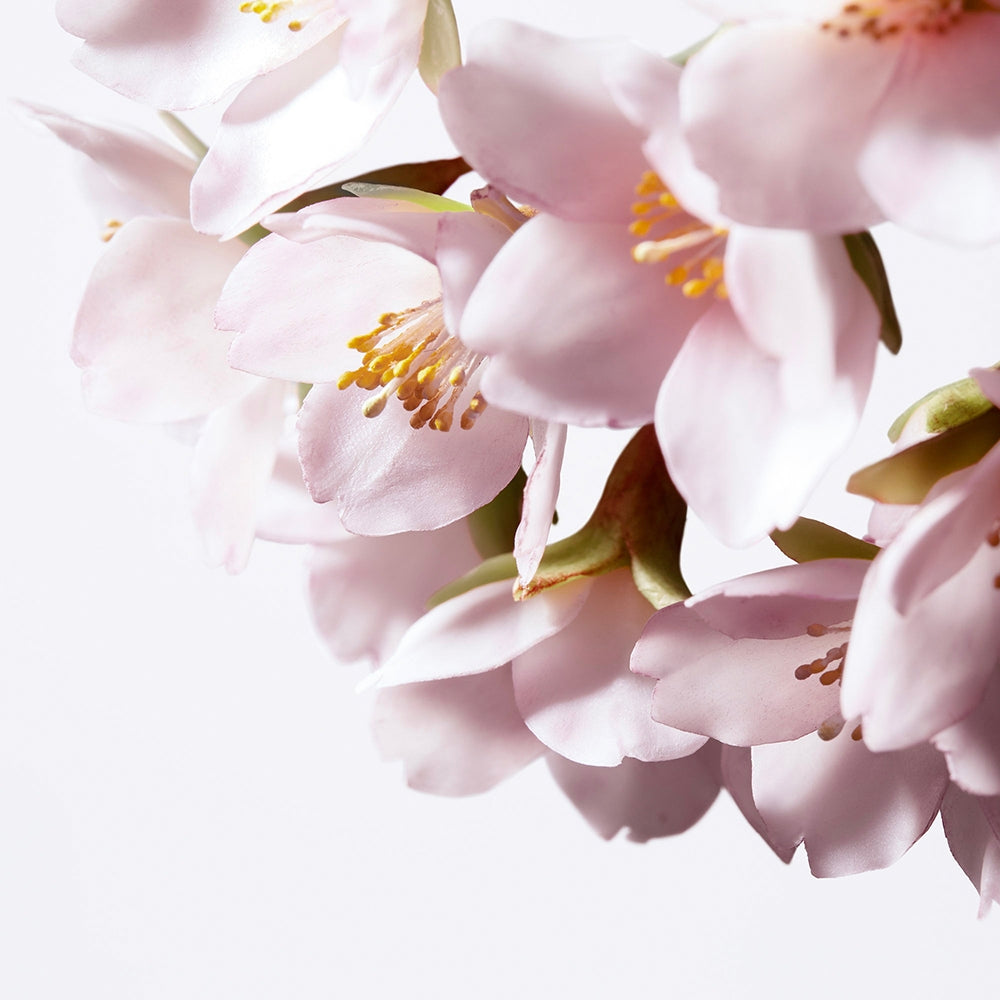 Shiseido WHITE LUCENT Illuminating Micro-Spot Serum-7