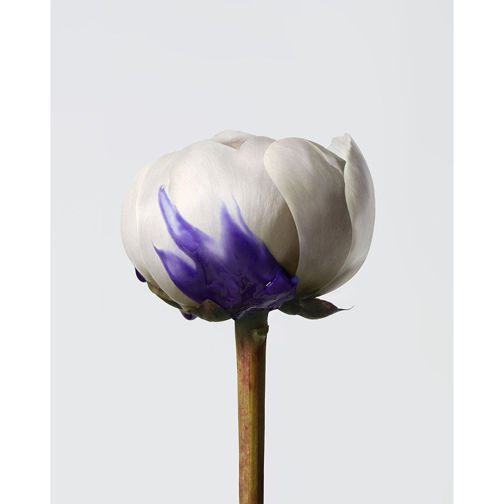 Shu Uemura Yubi Blonde siero-2