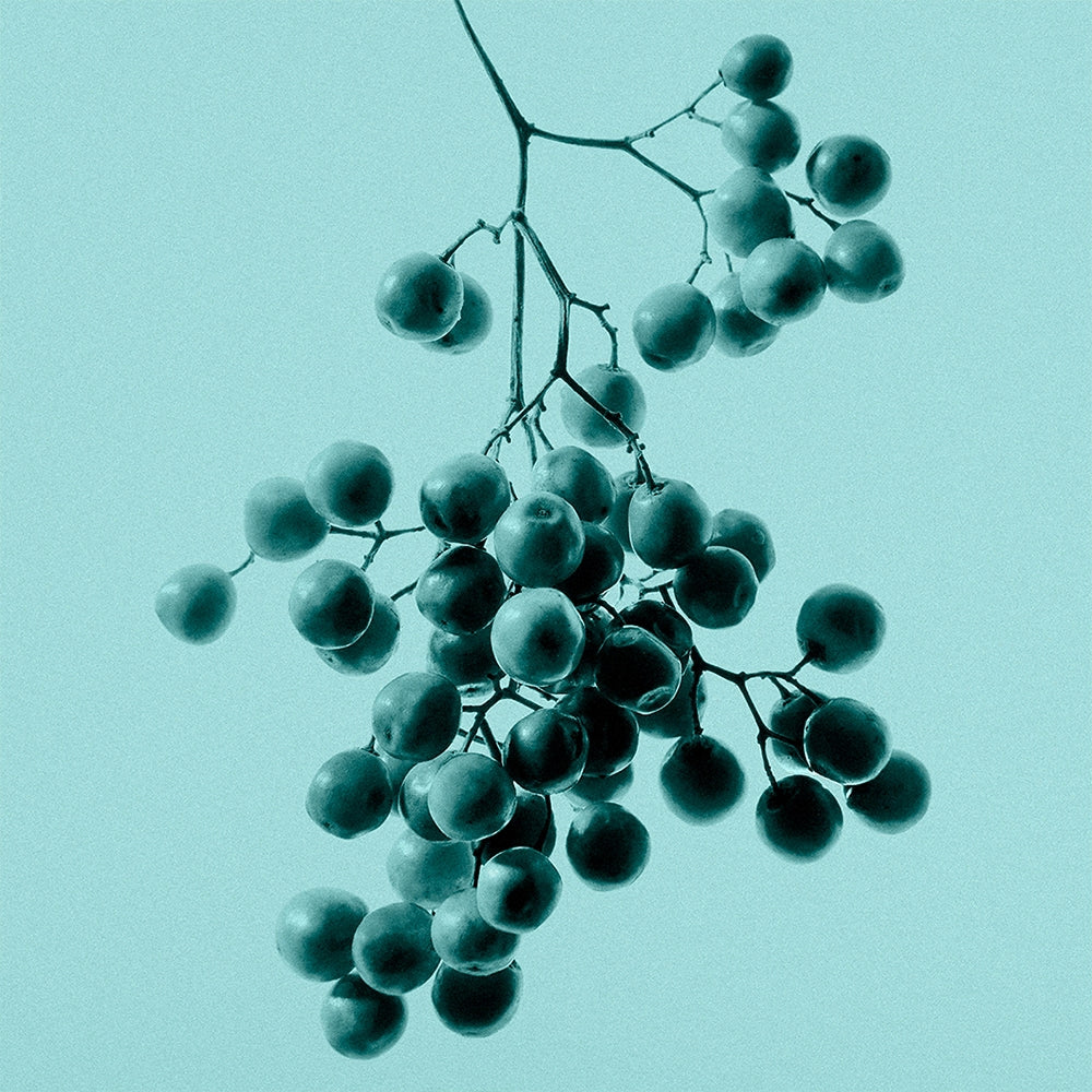 Tiffany & Co. Tiffany & Co. Intense-9