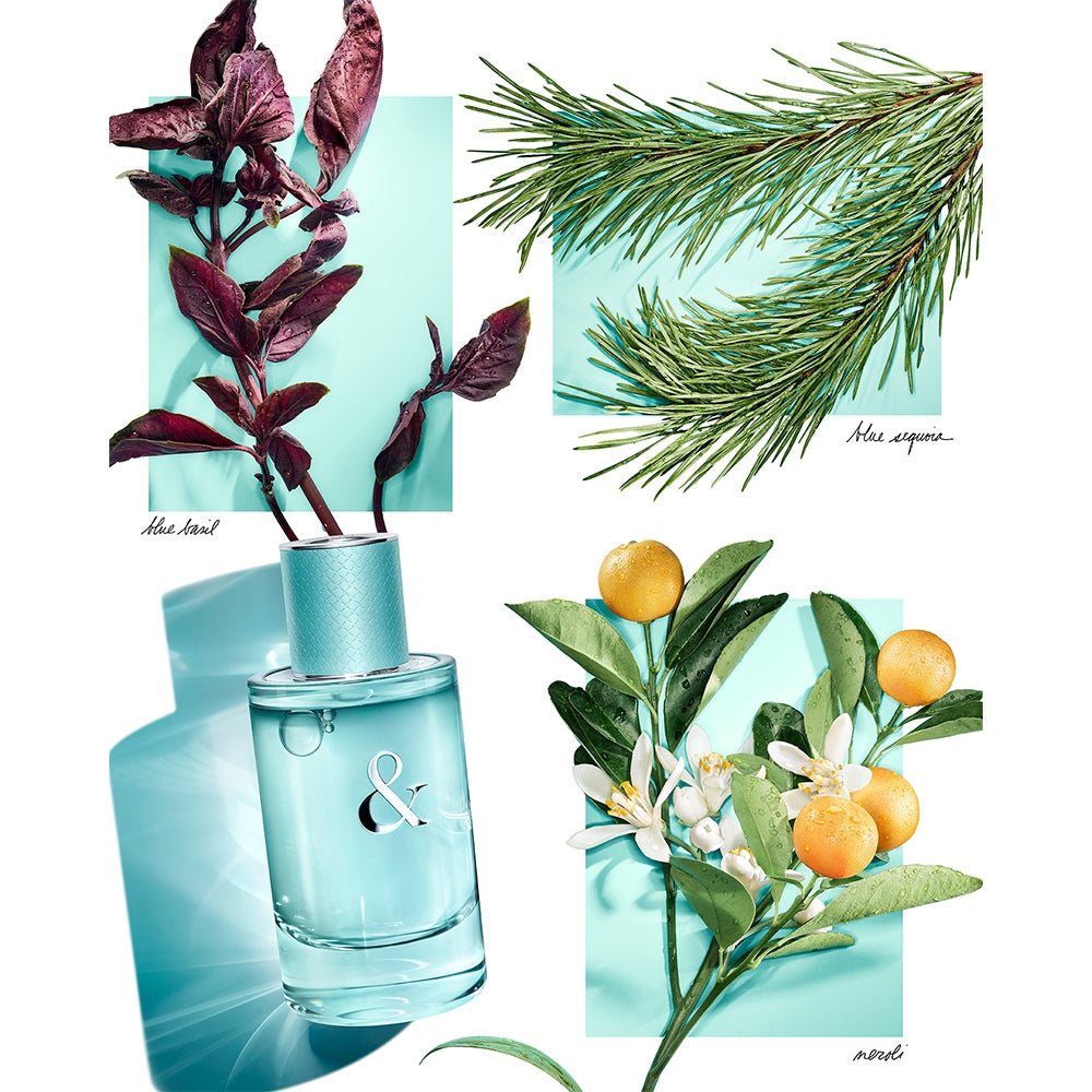 Tiffany & Co. Tiffany & Love for Her-4