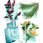 Tiffany & Co. Tiffany & Love for Her-4