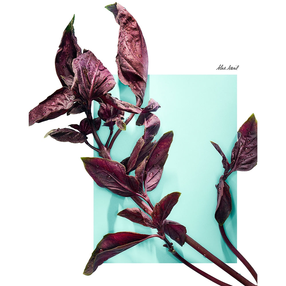 Tiffany & Co. Tiffany & Love for Her-5