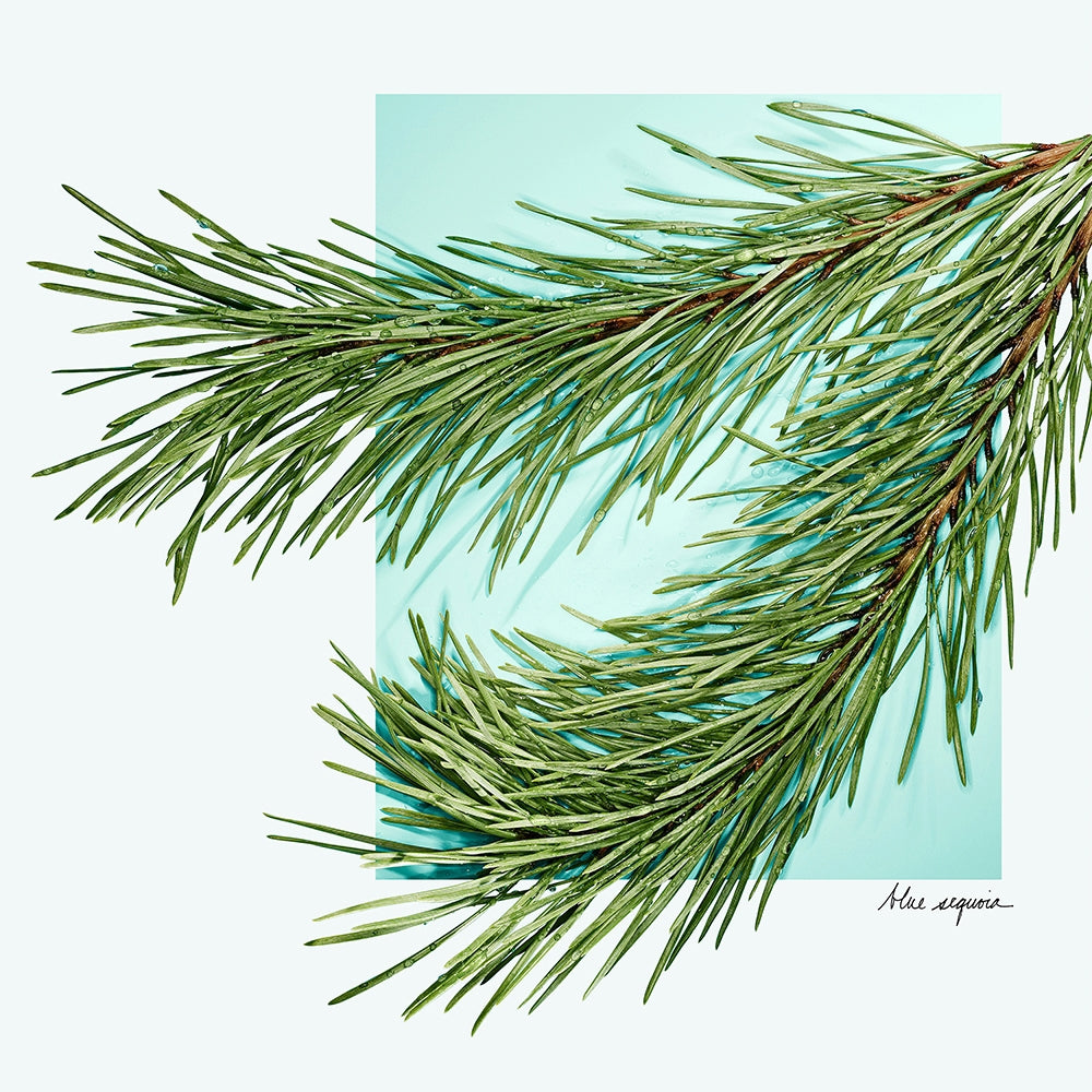 Tiffany & Co. Tiffany & Love for Him-5