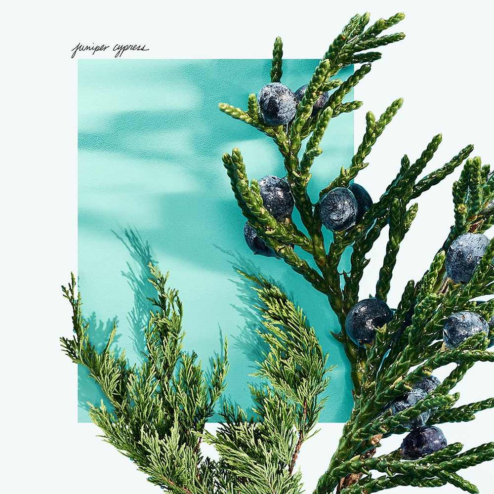 Tiffany & Co. Tiffany & Love for Him-7