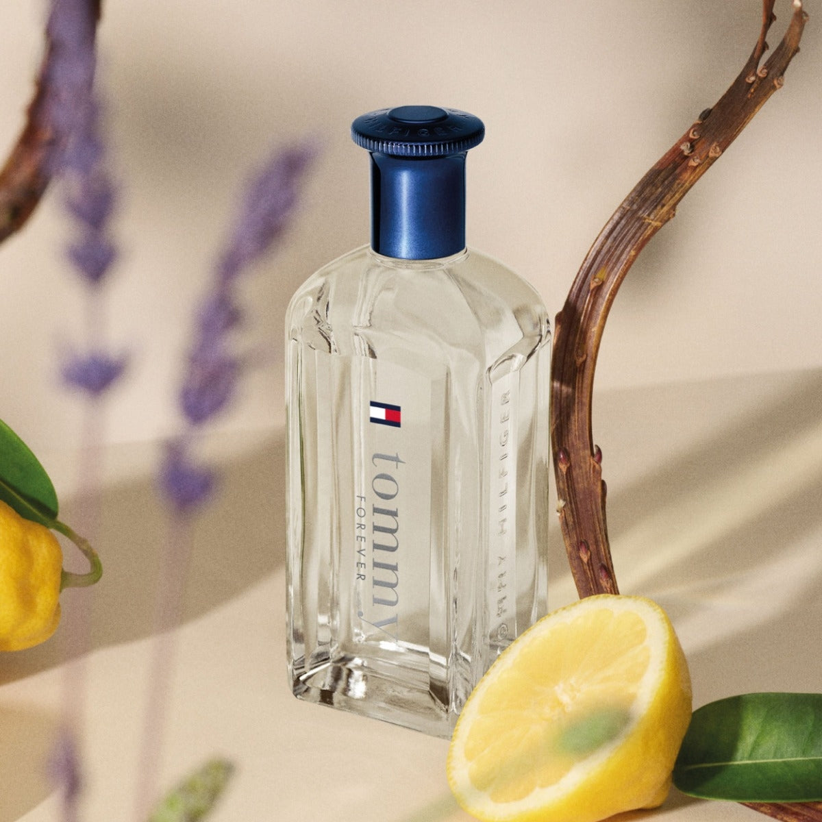 Tommy Hilfiger Tommy Forever-2