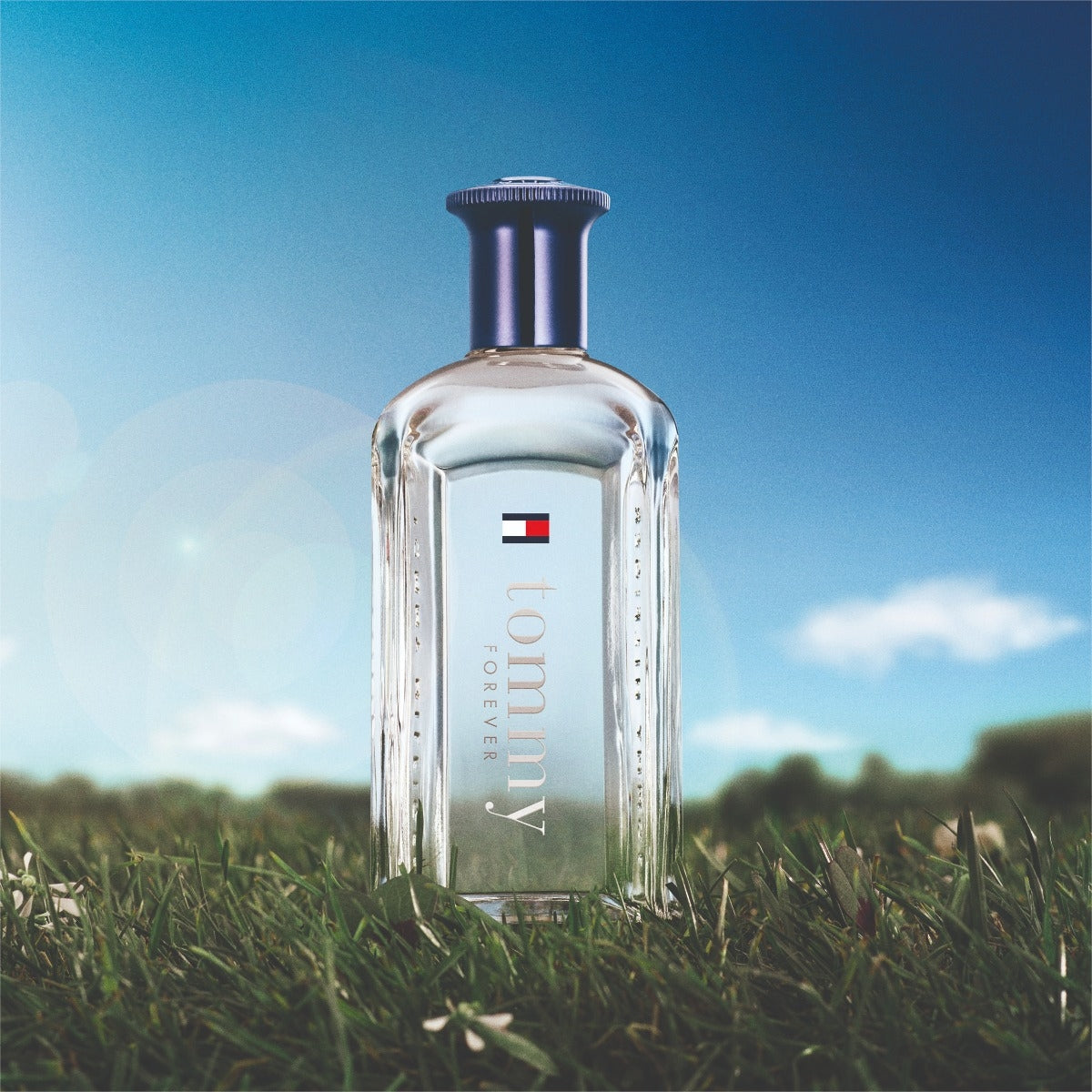 Tommy Hilfiger Tommy Forever-3